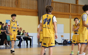 6a033b4704140_0E3A3611.JPG