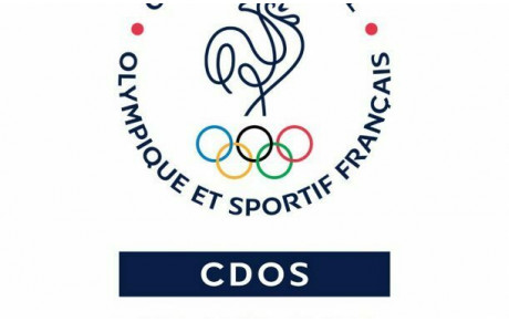 QUESTIONNAIRE CDOS