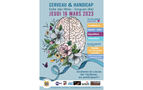 CERVEAU ET HANDICAP